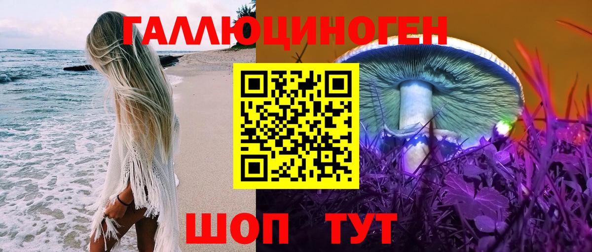 Псилоцибиновые грибы Psilocybe Александров