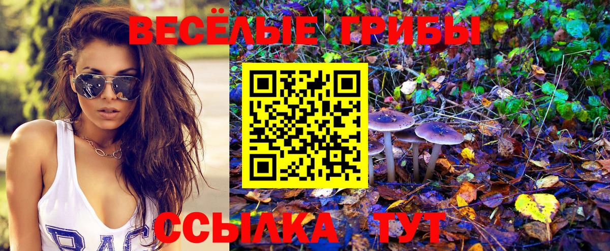 Галлюциногенные грибы Magic Shrooms  Вход с VPN  Александров 