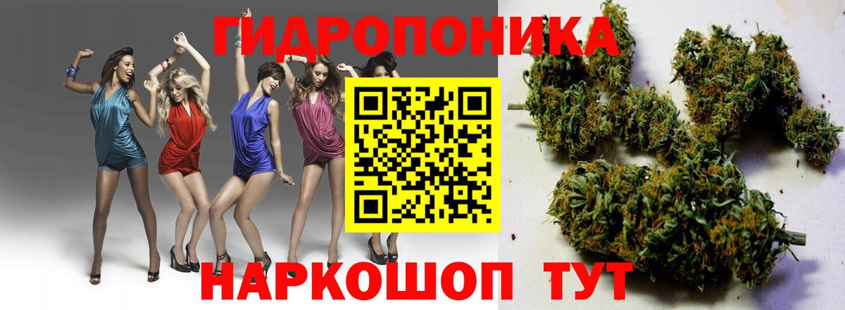 Александров  Марихуана OG Kush  Вход с VPN  Шишки марихуана Ganja  Бошки марихуана MAZAR 
